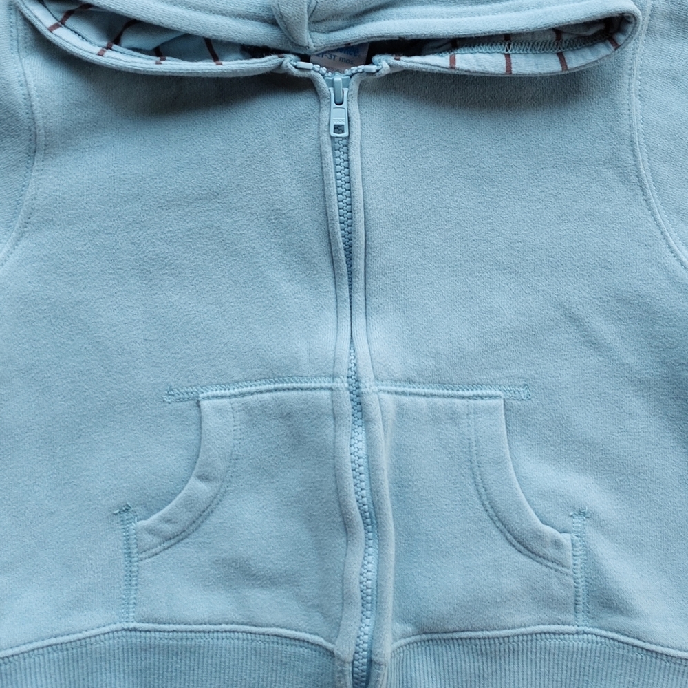 Rwar!!! Gymboree dinosaur hoodie 2T-3T - Picture 11 of 12